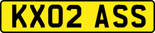 KX02ASS