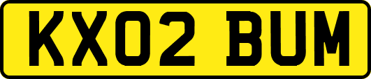 KX02BUM
