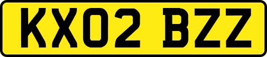 KX02BZZ