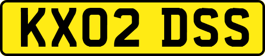 KX02DSS