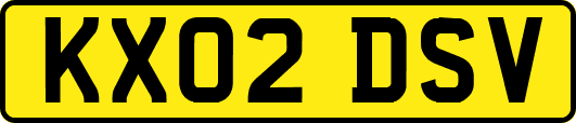 KX02DSV