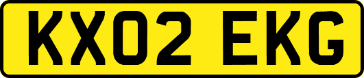 KX02EKG