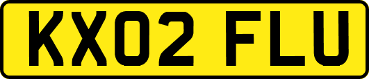 KX02FLU