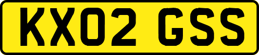 KX02GSS