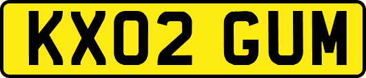 KX02GUM