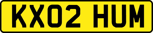 KX02HUM