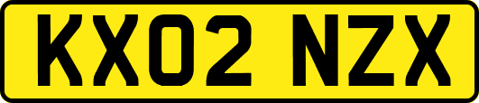 KX02NZX