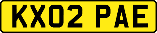 KX02PAE