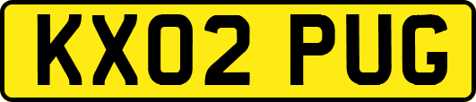 KX02PUG