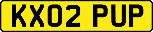 KX02PUP