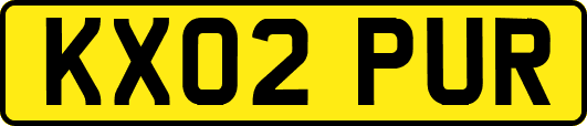 KX02PUR