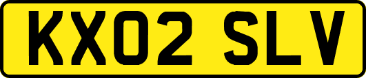 KX02SLV