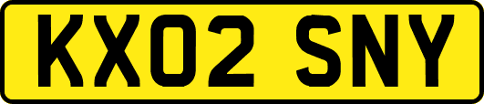 KX02SNY