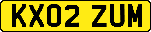 KX02ZUM