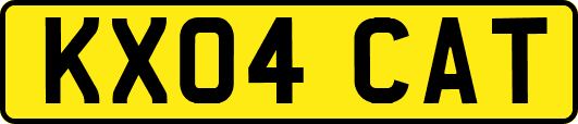 KX04CAT