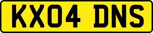 KX04DNS