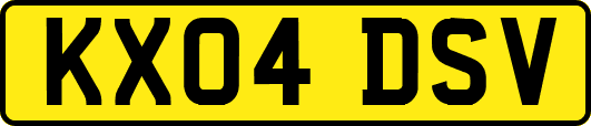 KX04DSV