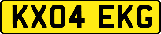 KX04EKG