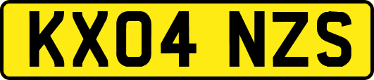 KX04NZS