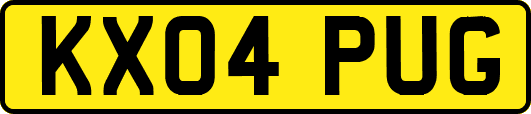 KX04PUG