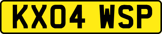 KX04WSP