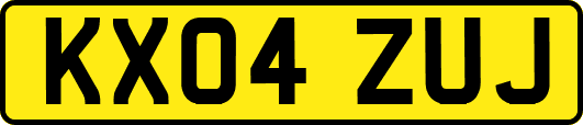 KX04ZUJ