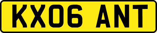 KX06ANT