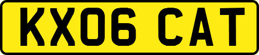 KX06CAT