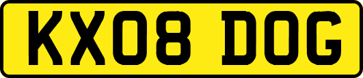 KX08DOG