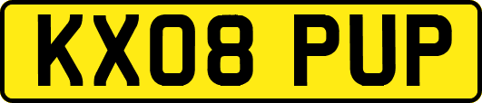 KX08PUP