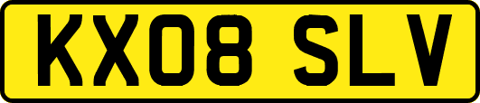 KX08SLV