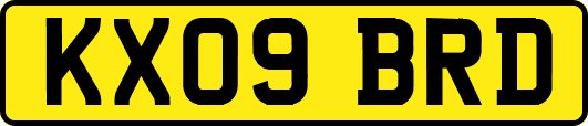 KX09BRD