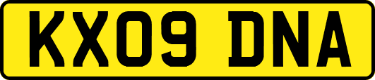KX09DNA