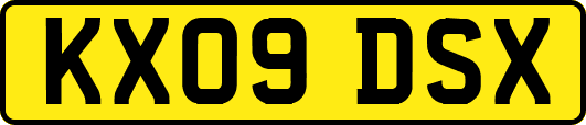 KX09DSX