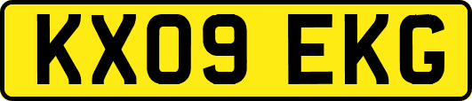 KX09EKG