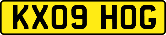 KX09HOG