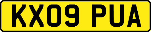 KX09PUA