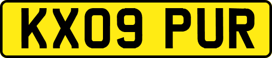 KX09PUR
