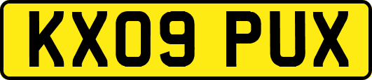 KX09PUX