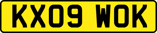 KX09WOK