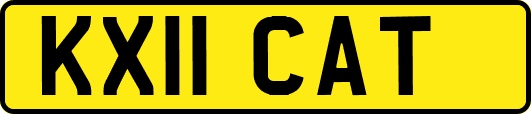 KX11CAT