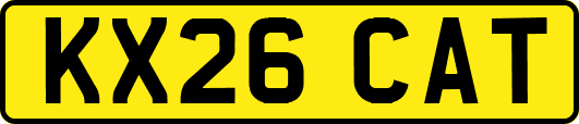 KX26CAT