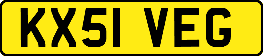 KX51VEG