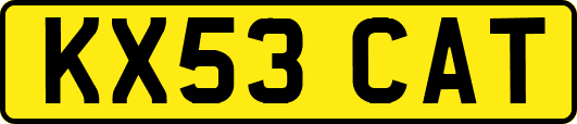 KX53CAT