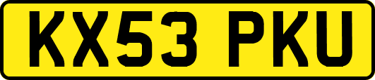 KX53PKU