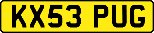 KX53PUG