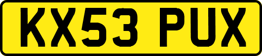 KX53PUX