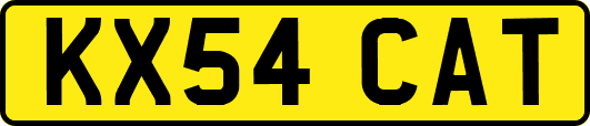 KX54CAT
