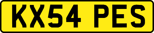 KX54PES