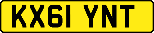 KX61YNT
